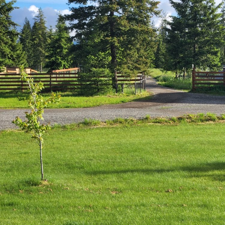 TerBest Alpaca and Fiber Farm on a misty morning