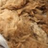 101 Fiber Processing class