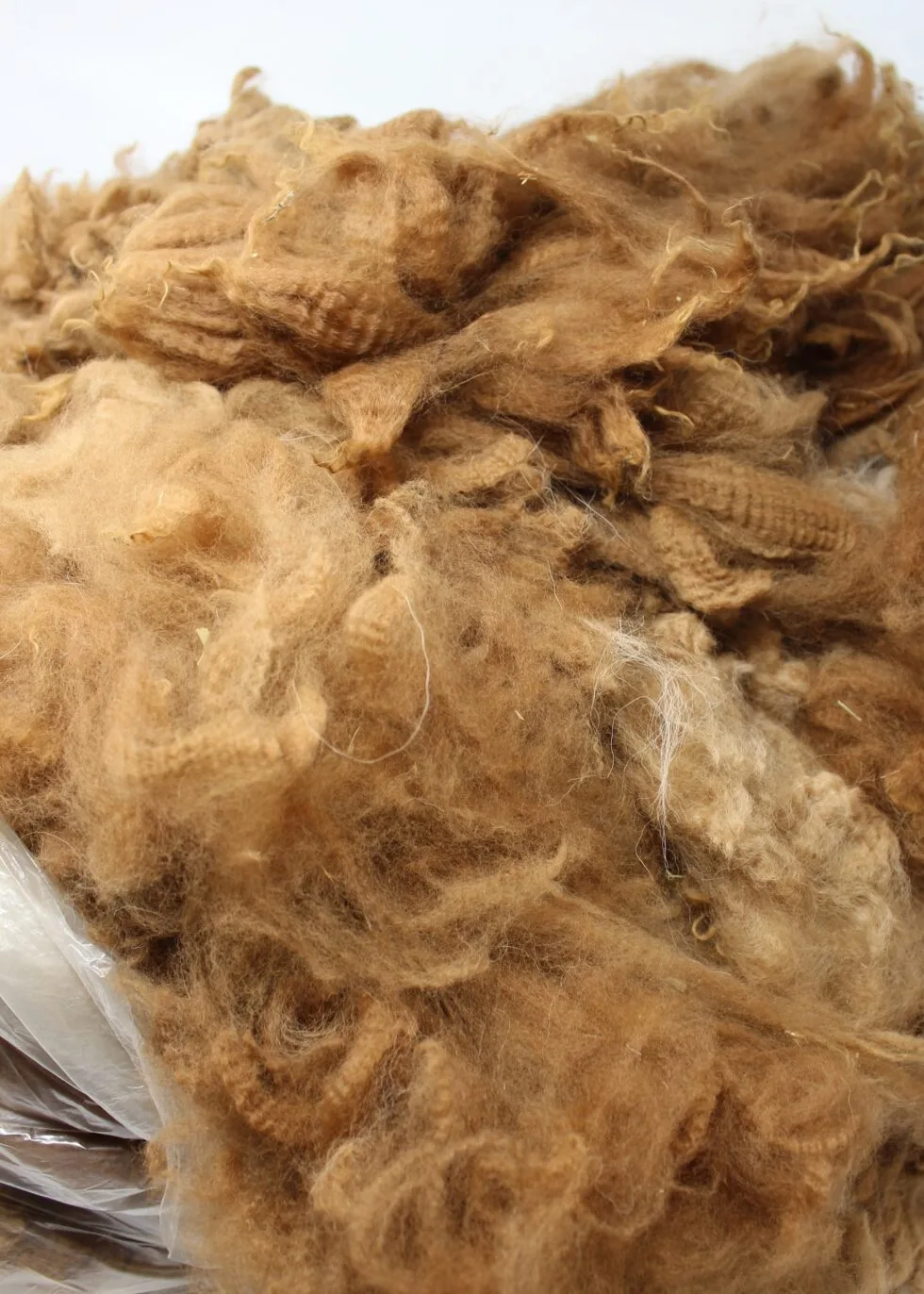 101 Fiber Processing class