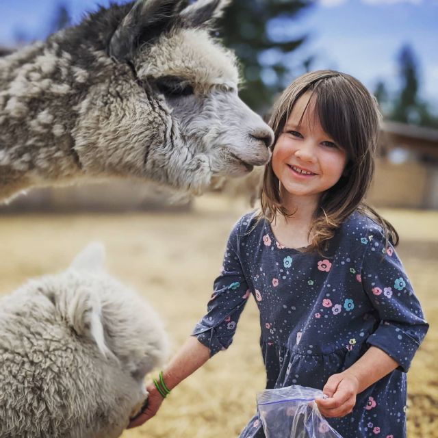 Farm Tours are the best!#alpacalife #farmgirl #farm #alpacafarm #smile #lifeisgood